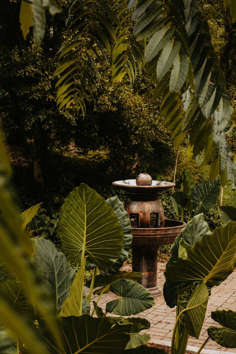 Cabana Rosa: o jardim